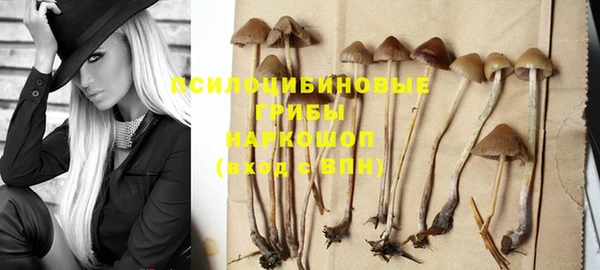 прущая мука Михайлов