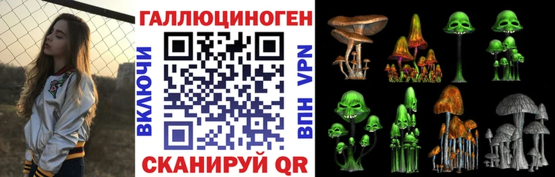 Купить закладки  Ессентуки  Галлюциногенные грибы прущие грибы 
